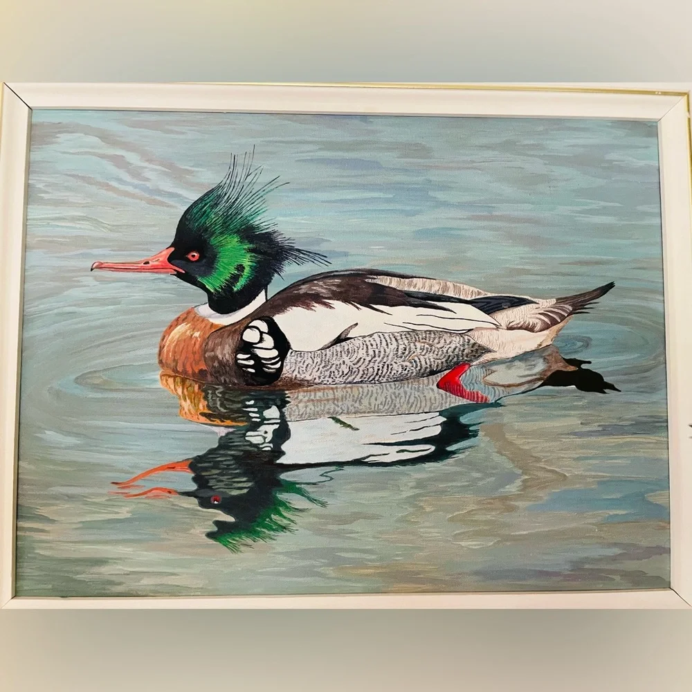 Framed Waterfowl Print - Colorful Duck Illustration - Picture 2 of 5